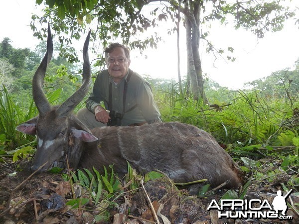 Western Sitatunga hunted in Cameroon with Club Faune