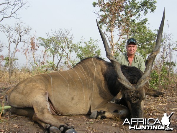 Lord Derby Eland hunted in Cameroon with Club Faune