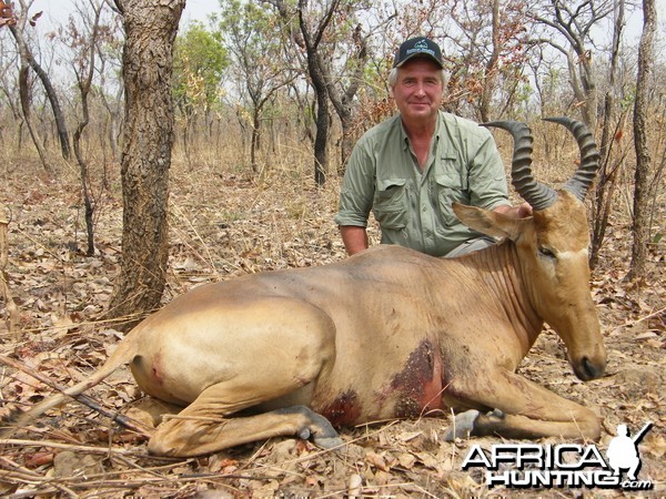 Western Hartebeest hunted in Cameroon with Club Faune