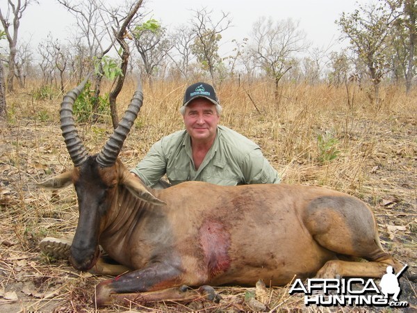 Western Hartebeest hunted in Cameroon with Club Faune