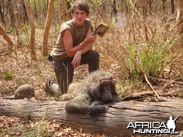 Baboon hunted in Central Africa with Club Faune