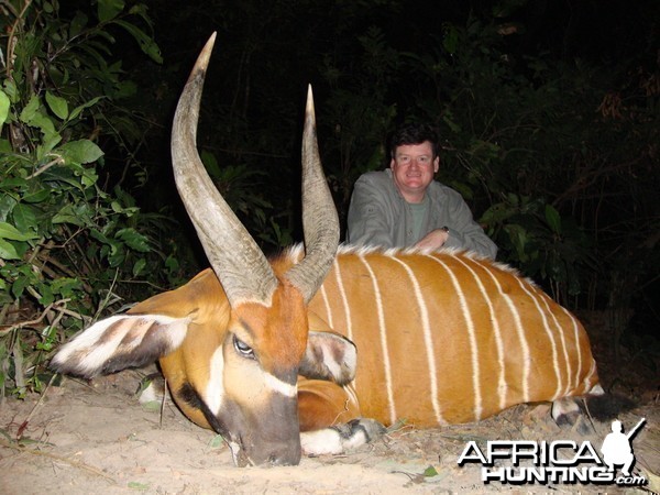 Bongo hunted in Central Africa with Club Faune