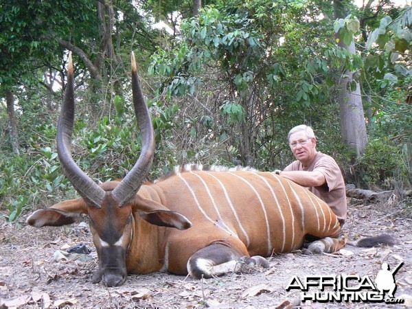 Bongo hunted in Central Africa with Club Faune