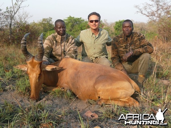 Lelwel Hartebeest hunted in Central Africa with Club Faune