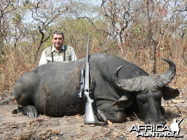 Central African Savannah Buffalo hunted in Central Africa with Club Faune