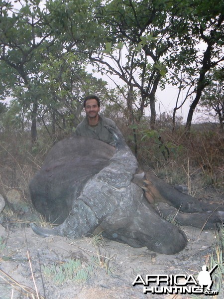 Central African Savannah Buffalo hunted in Central Africa with Club Faune