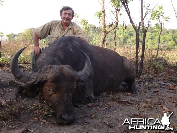 Central African Savannah Buffalo hunted in Central Africa with Club Faune