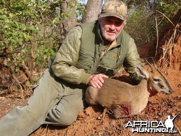 Duiker hunted in Central Africa with Club Faune