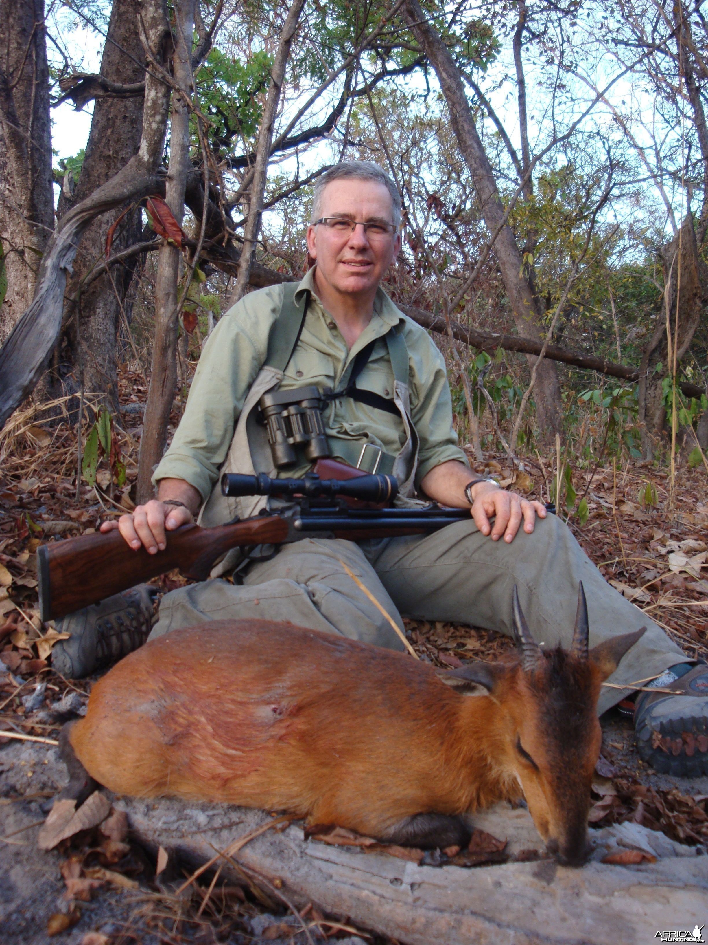 Red-Flanked Duiker hunted in Central Africa with Club Faune
