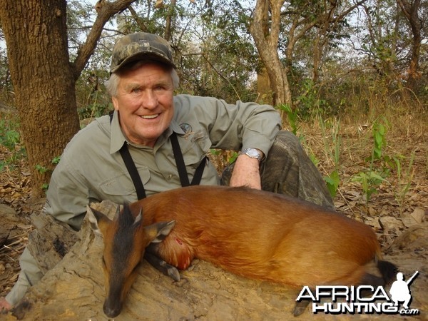 Red-Flanked Duiker hunted in Central Africa with Club Faune