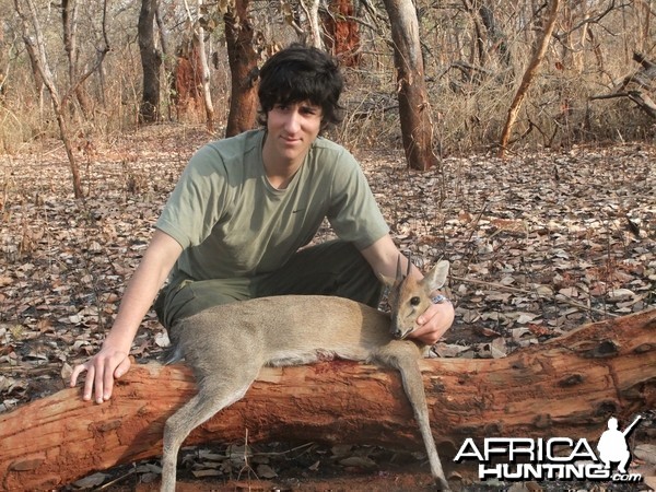 Duiker hunted in Central Africa with Club Faune