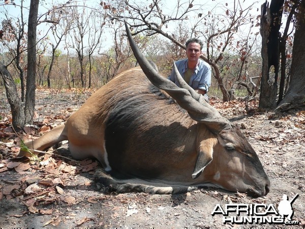 Lord Derby Eland hunted in Central Africa with Club Faune