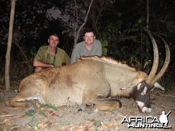 Roan Antelope hunted in Central Africa with Club Faune
