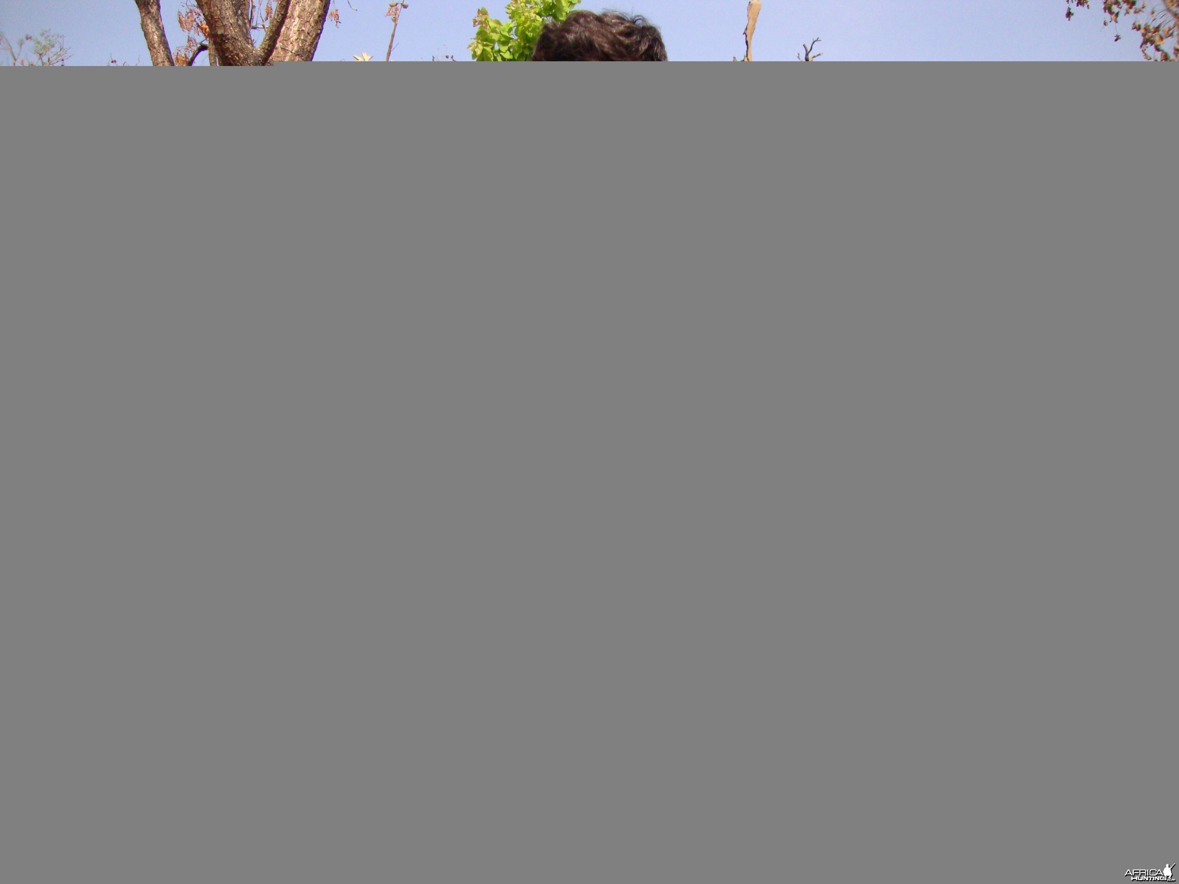 Oribi hunted in Central Africa with Club Faune