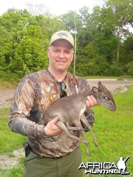 Blue Duiker hunted in Central Africa with Club Faune