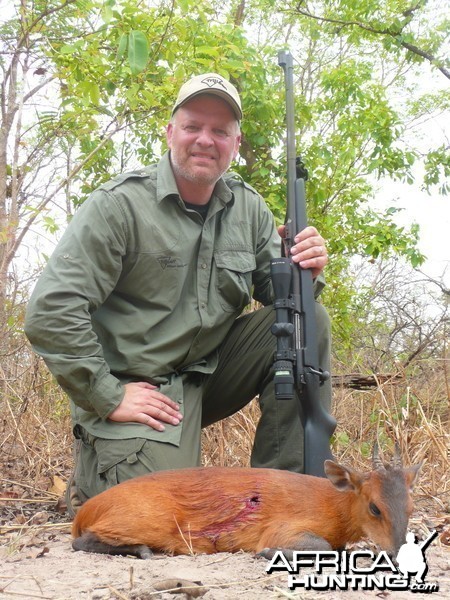 Red-Flanked Duiker hunted in Central Africa with Club Faune