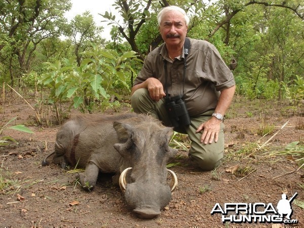 Warthog hunted in Central Africa with Club Faune