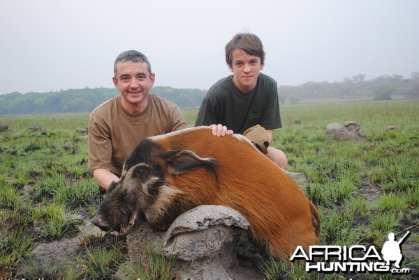 Red River Hog hunted in Central Africa with Club Faune