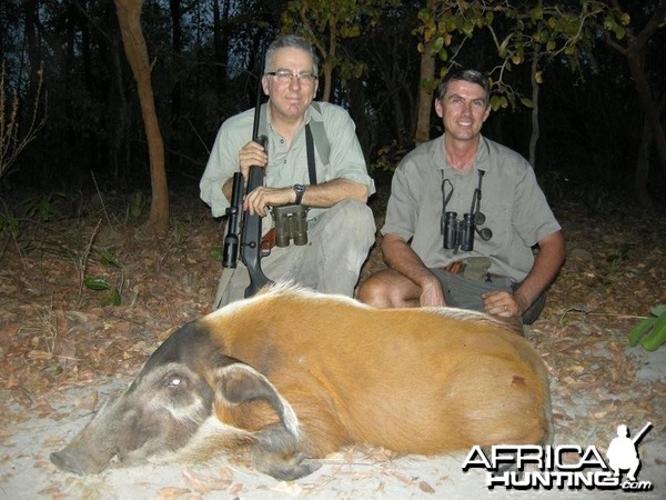 Red River Hog hunted in Central Africa with Club Faune