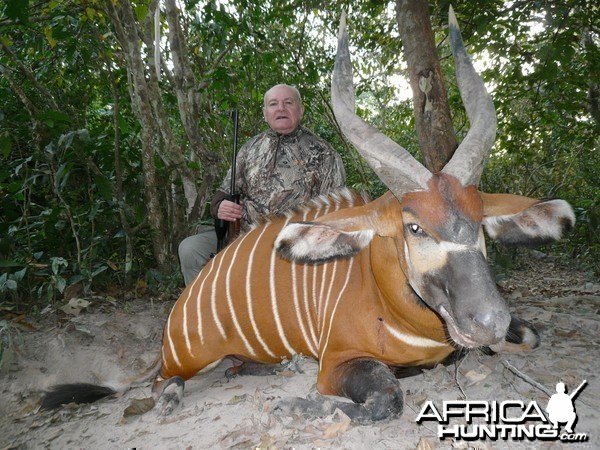 Bongo hunted in Central Africa with Club Faune