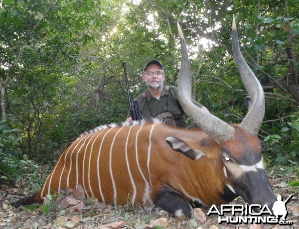 Bongo hunted in Central Africa with Club Faune