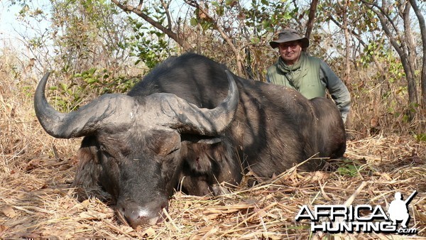 Central African Savannah Buffalo hunted in Central Africa with Club Faune