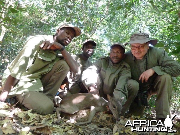 Blue Duiker hunted in Central Africa with Club Faune