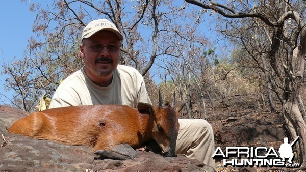 Red-Flanked Duiker hunted in Central Africa with Club Faune