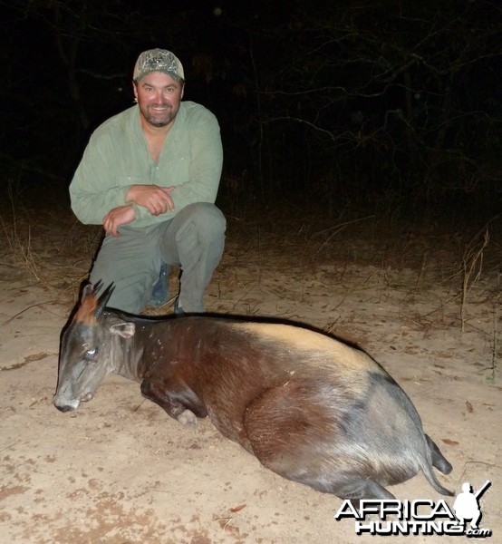 Yellow-Backed Duiker hunted in Central Africa with Club Faune