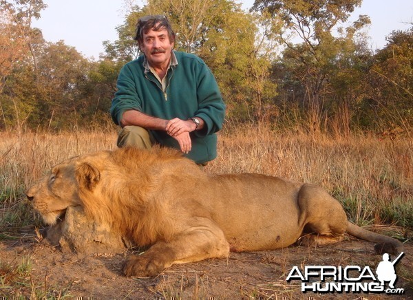 Lion hunted in Central Africa with Club Faune