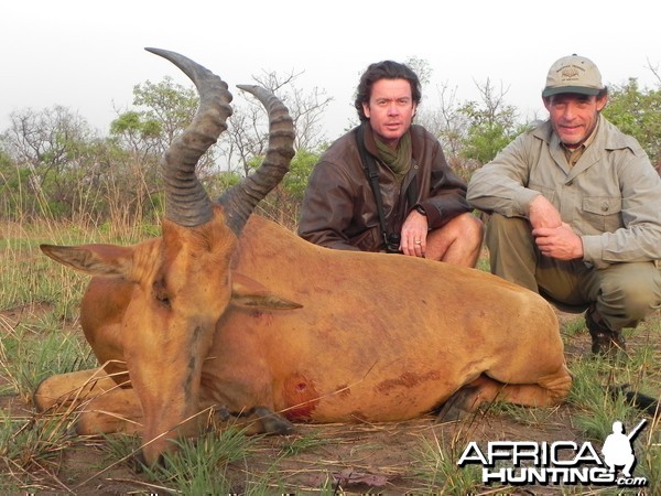 Lelwel Hartebeest hunted in Central Africa with Club Faune