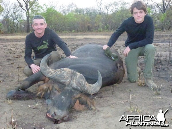 Central African Savannah Buffalo hunted in Central Africa with Club Faune