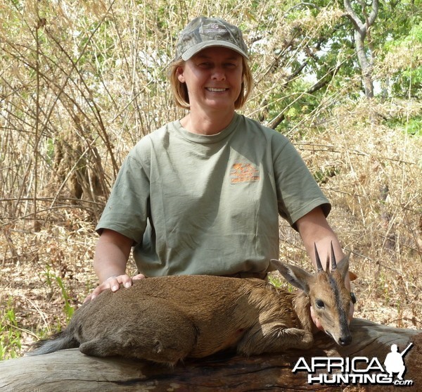 Duiker hunted in Central Africa with Club Faune