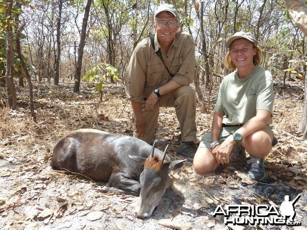 Yellow-Backed Duiker hunted in Central Africa with Club Faune