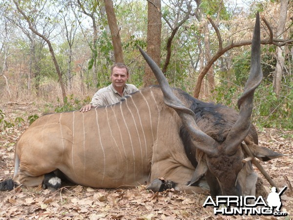 Lord Derby Eland hunted in Central Africa with Club Faune