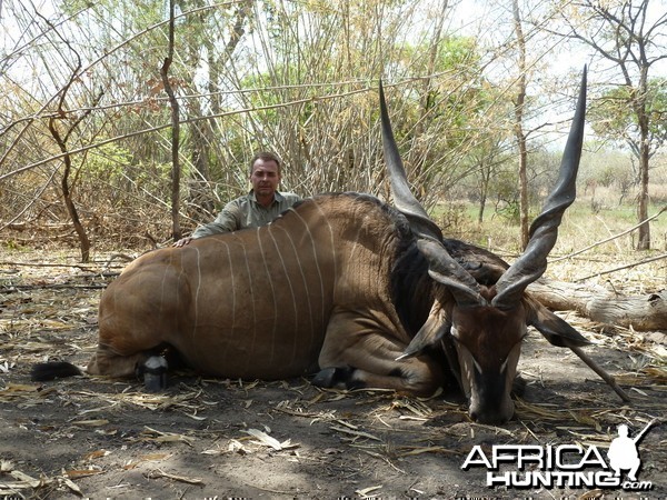 Lord Derby Eland hunted in Central Africa with Club Faune