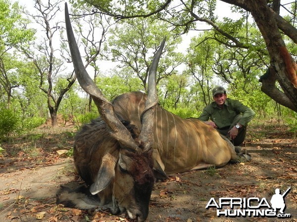 Lord Derby Eland hunted in Central Africa with Club Faune