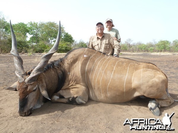 Lord Derby Eland hunted in Central Africa with Club Faune