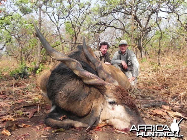 Lord Derby Eland hunted in Central Africa with Club Faune