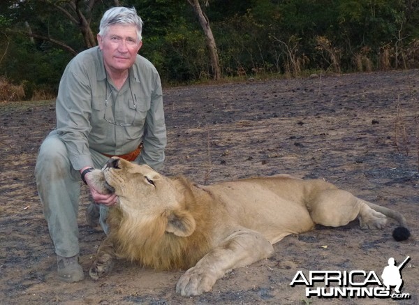 Lion hunted in Central Africa with Club Faune