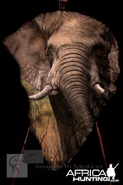 Elephant Ear Painting by Robert Utne