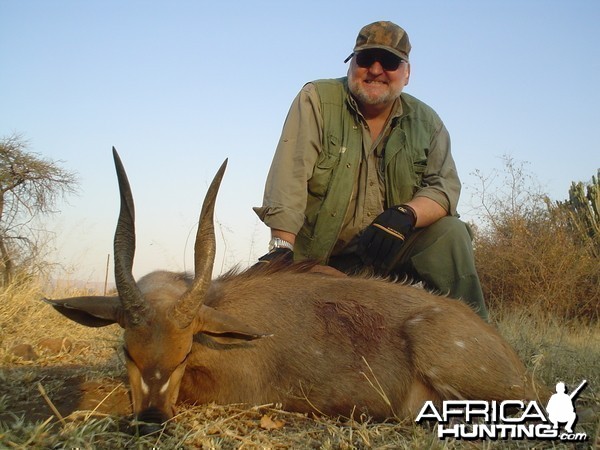 Bushbuck