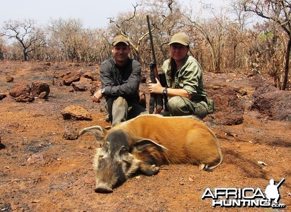 Red River Hog hunted in CAR