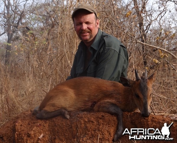 Red Flanked Duiker hunted in CAR
