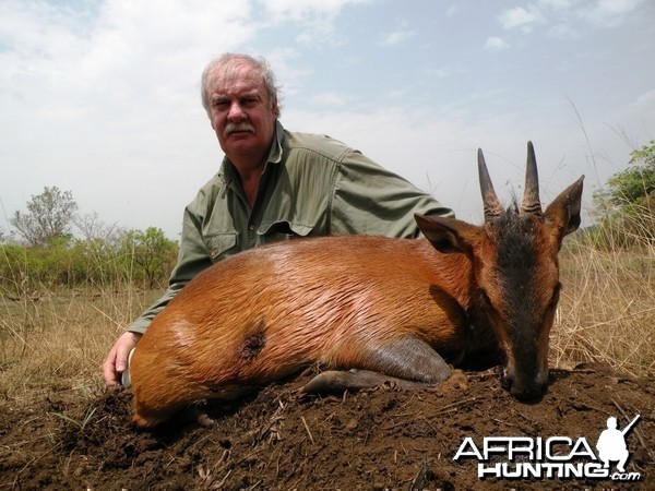 Red flanked duiker