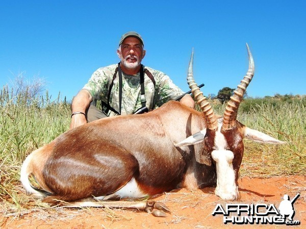 Blesbok Namibia