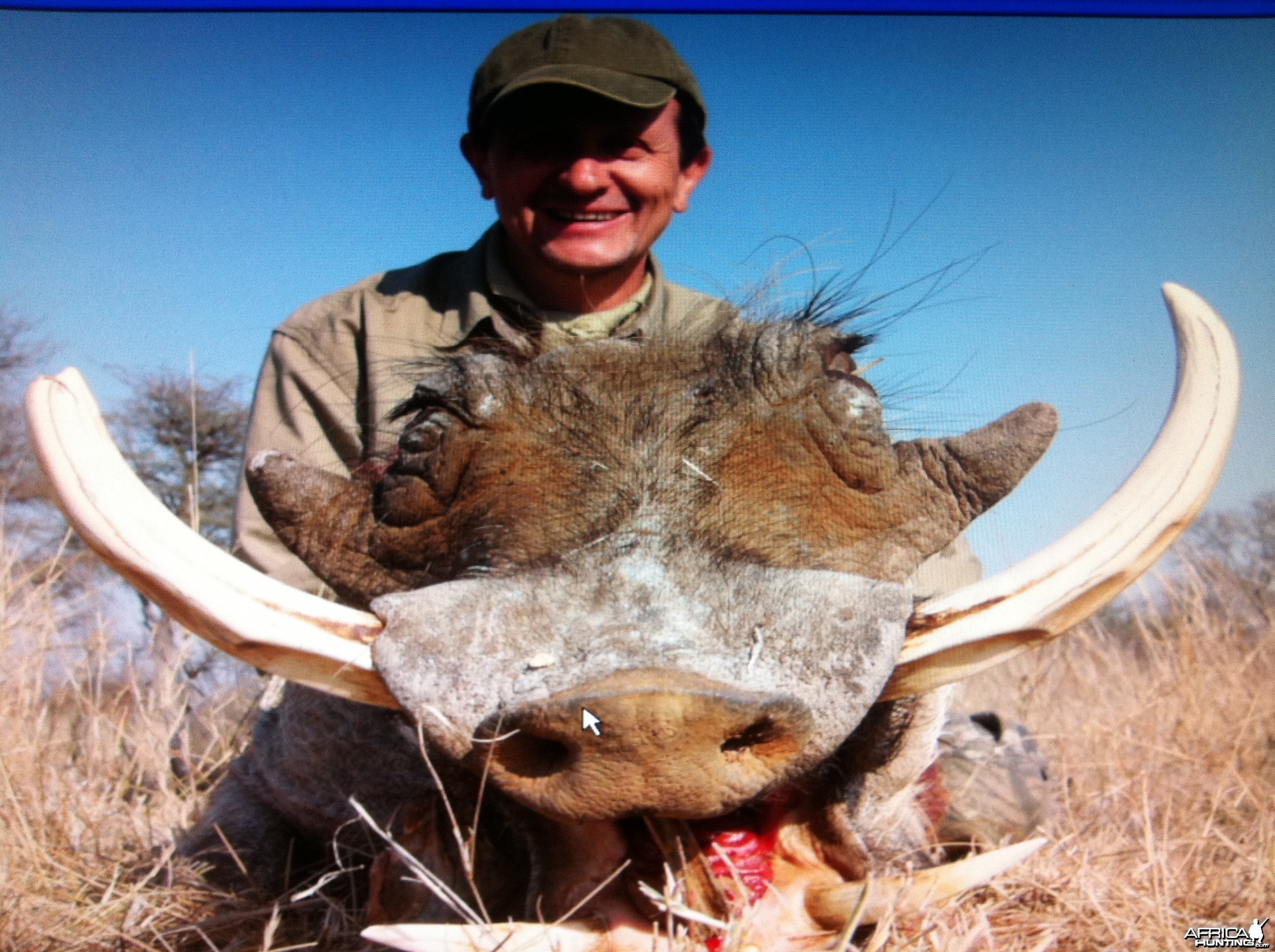 WARTHOG HUNTING...