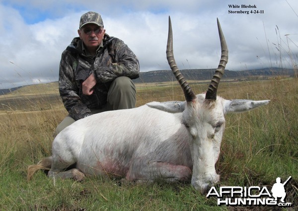 White Blesbok