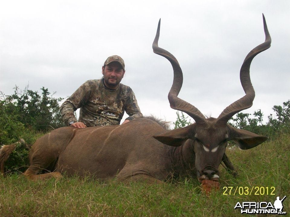 Kudu