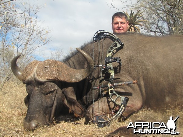 Bow Hunting Cape Buffalo